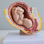 A detecção precoce de infecções fetais em exames de imagem é fundamental para garantir a saúde do bebê, com Dra. Thaline Neves.