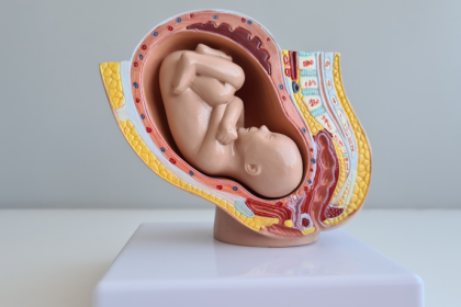 A detecção precoce de infecções fetais em exames de imagem é fundamental para garantir a saúde do bebê, com Dra. Thaline Neves.