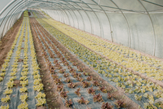 João Eustáquio De Almeida Junior apresenta práticas que reduzem impactos ambientais e fortalecem a produção no campo.