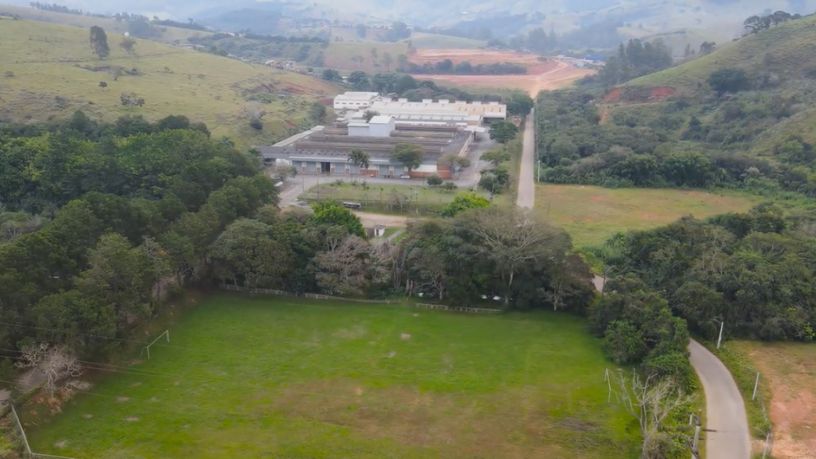 Família Shih