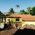Casa amarela em área rural, cercada por vegetação tropical.